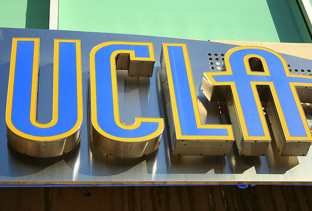 Ucla application essay